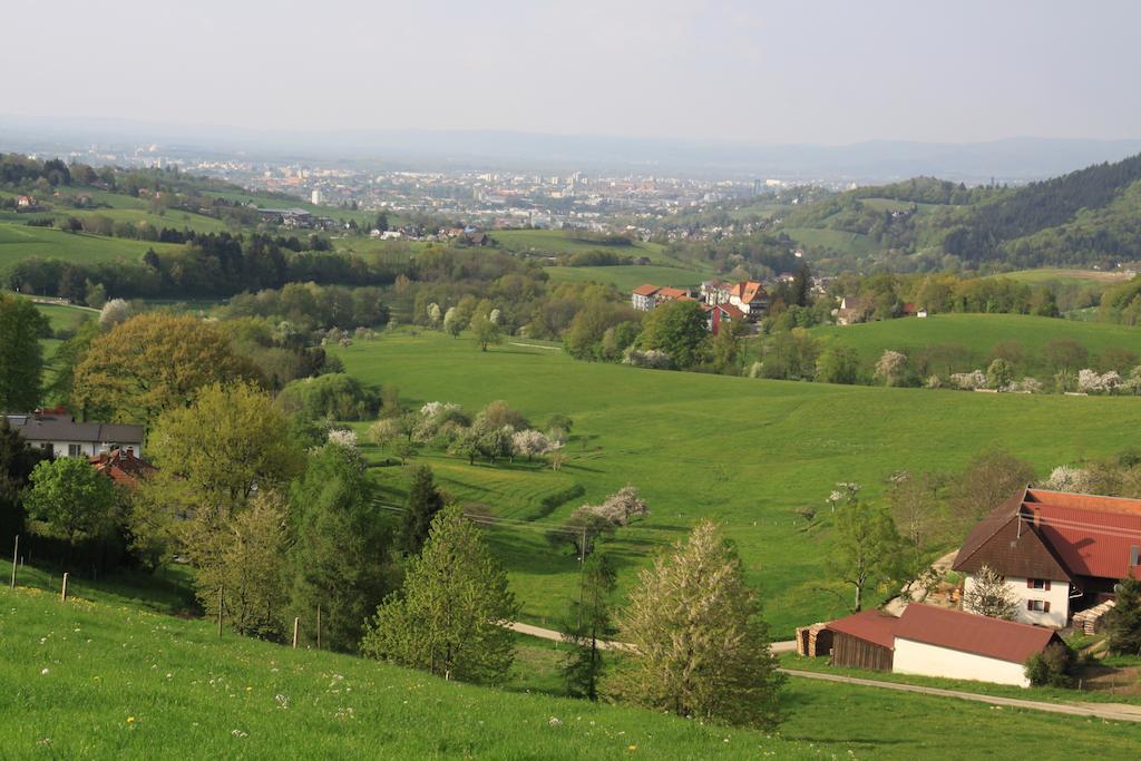 Luxus Appartement Schwarzwald Bei Freiburg 4 Schlafzimmer Sauna Sölden Pokoj fotografie