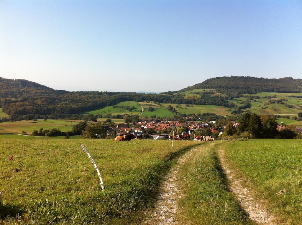 Luxus Appartement Schwarzwald Bei Freiburg 4 Schlafzimmer Sauna Sölden Pokoj fotografie