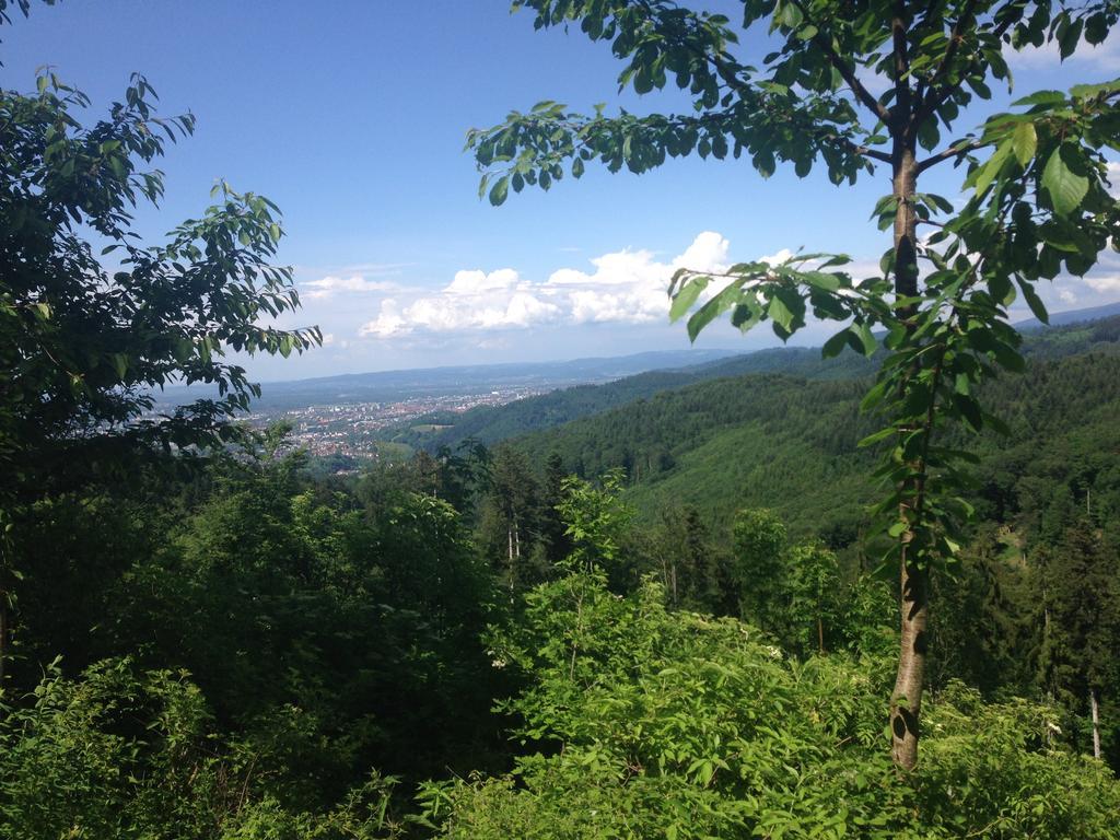 Luxus Appartement Schwarzwald Bei Freiburg 4 Schlafzimmer Sauna Sölden Exteriér fotografie