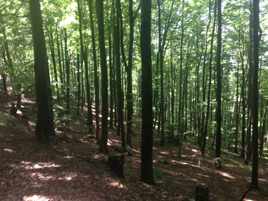 Luxus Appartement Schwarzwald Bei Freiburg 4 Schlafzimmer Sauna Sölden Exteriér fotografie